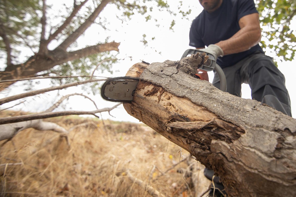 Log Analysis